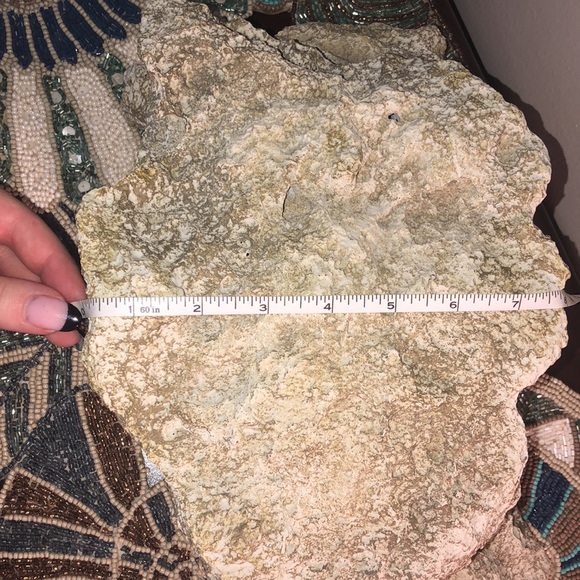 ✨HOST PICK✨ Basking Platform/Hideout - Picture 5 of 6